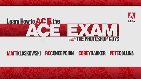 NAPP - Learn How to ACE the ACE Exam Webcast