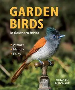 Garden Birds of Southern Africa