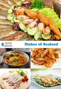 Photos - Dishes of Seafood