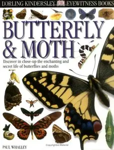Eyewitness: Butterfly & Moth (repost)