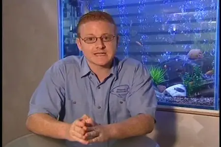 Your Instructional Tropical Aquarium Guide