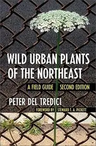 Wild Urban Plants of the Northeast: A Field Guide