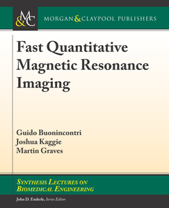 Fast Quantitative Magnetic Resonance Imaging