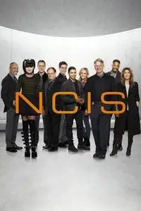 NCIS S17E11