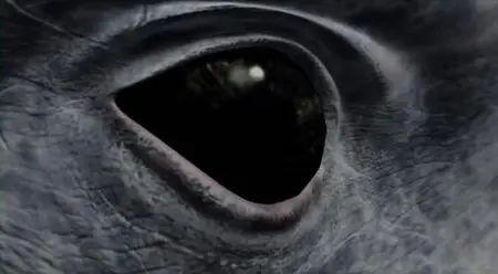 Moby Dick (2010)