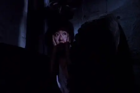Shojo no harawata / Entrails of a Virgin (1986)