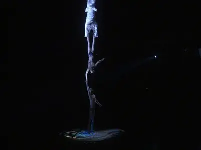 Cirque du Soleil: Zed in Tokyo (2013)