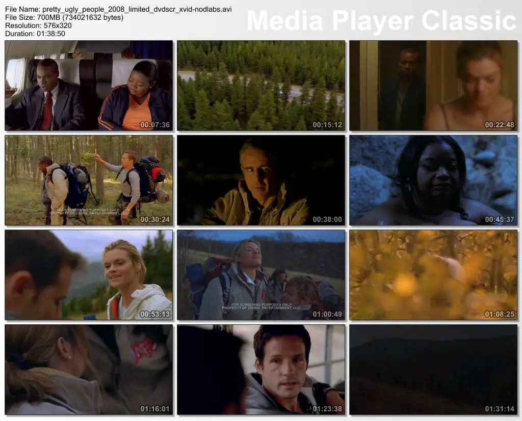 Pretty Ugly People (2008)