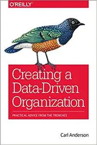 Creating a Data-Driven Organization: Practical Advice from the Trenches (repost)