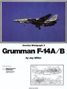 Grumman F-14 A/B (repost)