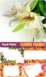 Flow Frames - photostock