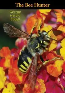 «Bee Hunter» by George Harold Edgell
