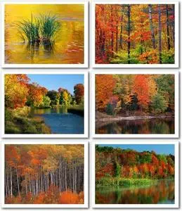 Webshots Premium Wallpapers: Autumn