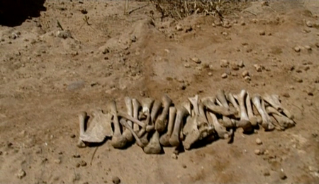 Discovery Channel - Skeletons of Roman Ashkelon (2001)