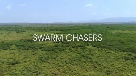 CH4 Unreported World - Swarm Chasers (2020)
