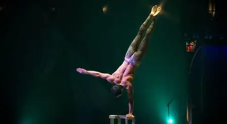 Circus Of A Sun - Cirque Du Soleil: Kooza (2009)