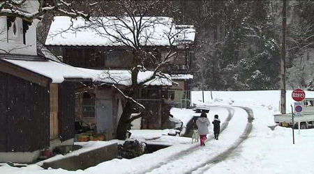 Satoyama: Japan's Secret Water Garden (2004)