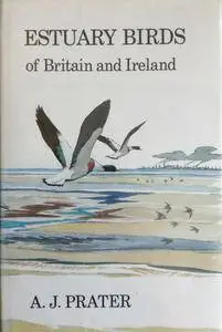 Estuary Birds of Britain & Ireland