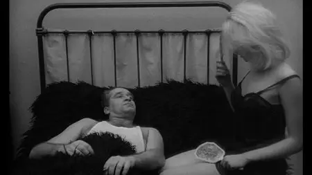 Covek nije tica / Man Is Not a Bird (1965)