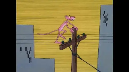 The Pink Panther Cartoon Collection: Volume 4 (1971-1975)