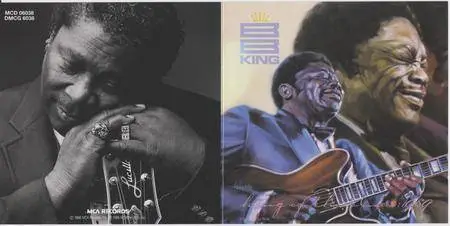 B.B. King - King Of The Blues: 1989 (1988)