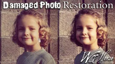 Vintage Photo Fix for Beginners