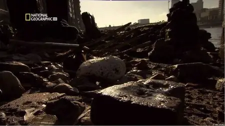 National Geographic - Lucky Muckers (2012)