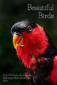 Beautiful Birds: Over 100 Absolutely Stunning Bird Images from around the Globe