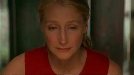 The Dying Gaul (2005)