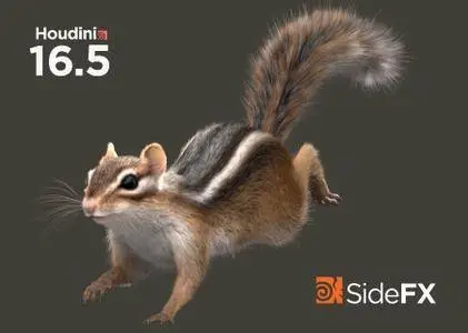 SideFx Houdini FX 16.5.268