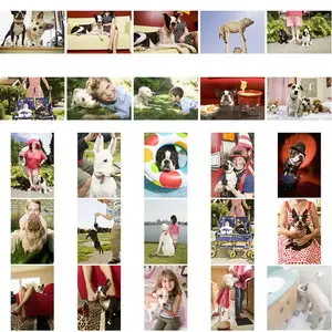 Big Cheese Photo BCP-031 — Dog Breath