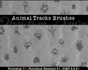 Animal Tracks Brushes