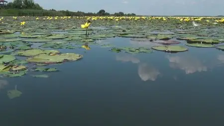 World's Nature: Europe's Most Beautiful Places (2012)