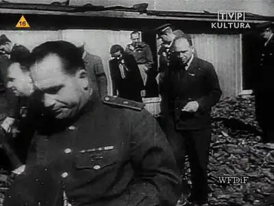 Wytwórnia Filmów Dokumentalnych i Fabularnych - Majdanek (1944)