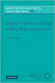 Elliptic Curves and Big Galois Representations