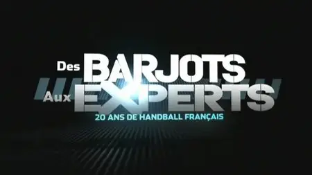 Des Barjots aux Experts, 20 ans de handball français (2011)