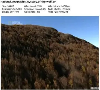 National Geographic: Mystery Of The Wolf