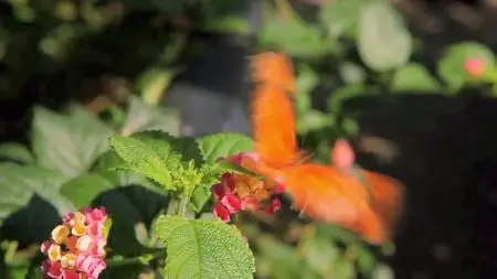 Absurd Planet S01E08