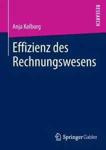 Effizienz des Rechnungswesens