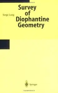 Survey on Diophantine Geometry
