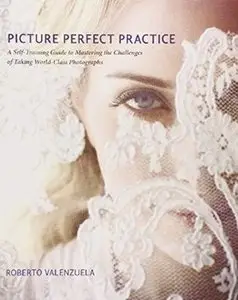 Picture Perfect Practice: A Self-Training Guide to Mastering the Challenges of Taking World-Class Photographs