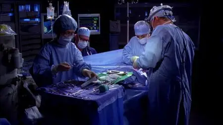 Grey's Anatomy S09E13