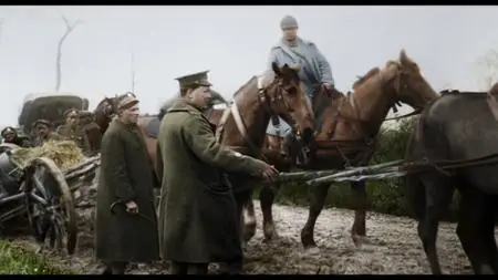 They Shall Not Grow Old (2018)
