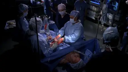 Grey's Anatomy S06E14