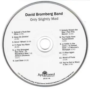 David Bromberg - Only Slightly Mad (2013) {AppleSeed}
