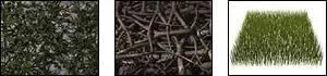 Dosch 3D - Natural Objects