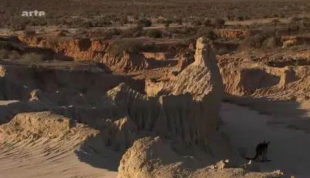(Arte) Australie, le phénomène kangourou (2012)