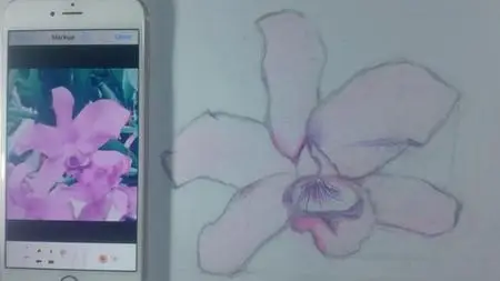 Drawing An Orchid In 5 Easy Steps.