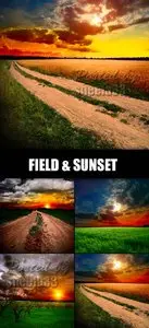 Stock Photo - Country Road, Field & Sunset