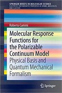 Molecular Response Functions for the Polarizable Continuum Model: Physical basis and quantum mechanical formalism